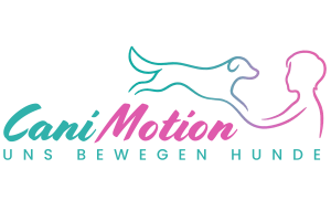 CaniMotion_FINAl_2_1200-800